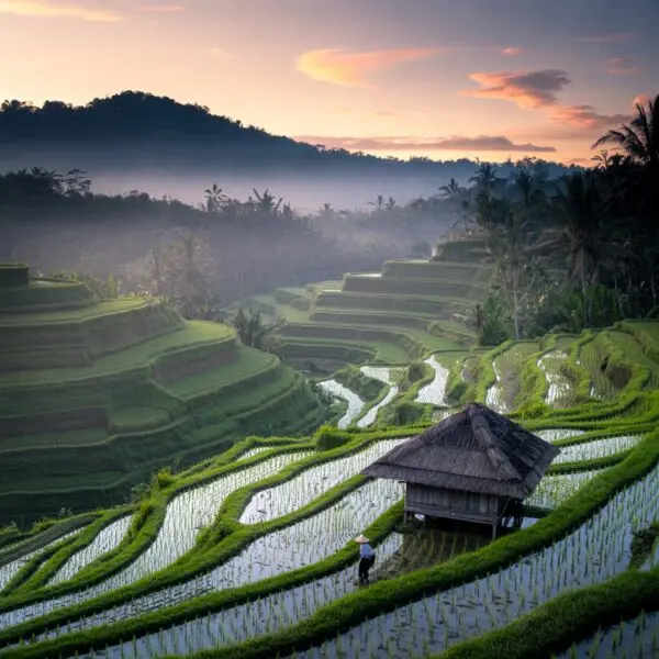 Bali Travel Guide 2026 – Everything You Need to Know